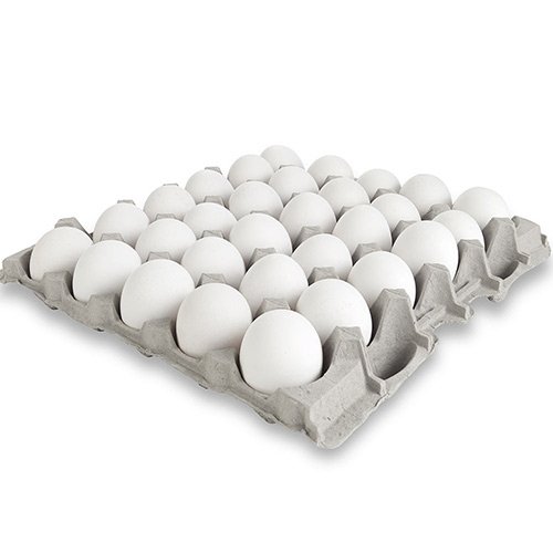 Egg Tray